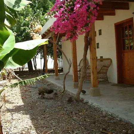 Hotel Cho Manuel Maspalomas (Gran Canaria)